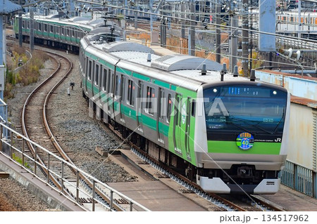 E233系7000番台ハエ117編成埼京線開業40年ラッピング 134517962
