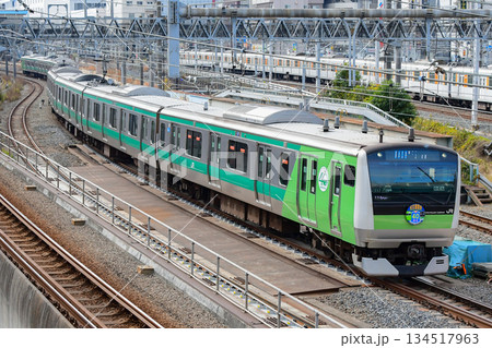 E233系7000番台ハエ117編成埼京線開業40年ラッピング 134517963