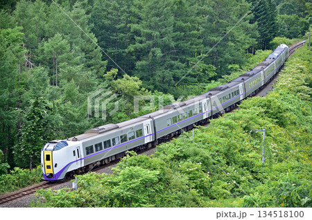 室蘭本線　洞爺－有珠　JR北海道　キハ261系1000番台　ST-1212編成　スーパー北斗 134518100