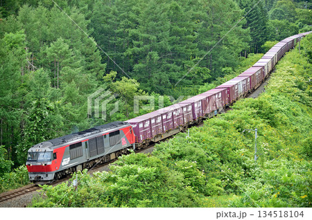 室蘭本線　洞爺－有珠　JR貨物　DF200-104（五稜郭） 134518104
