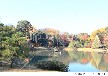 東京都　六義園　妹山・背山、玉藻磯付近　 134518141