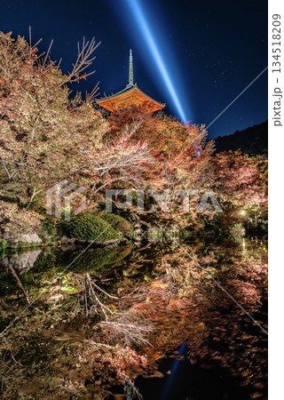 《京都》 清水寺 紅葉ライトアップ リフレクション 《京都》 清水寺 紅葉ライトアップ リフレクション 134518209