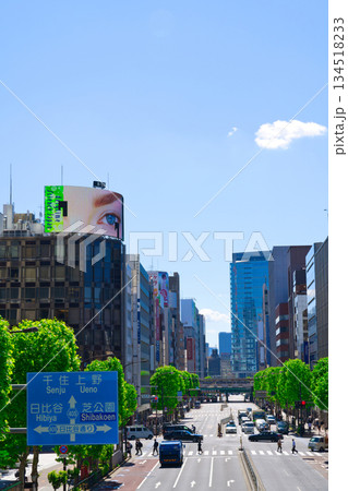 【東京都】5月・朝の新橋駅周辺 【東京都】5月・朝の新橋駅周辺 134518233