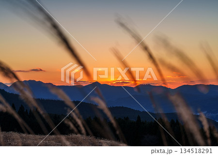 日没後山際に残った美しい夕焼け空と風にそよぐすすきの穂　曽爾高原にて① 134518291