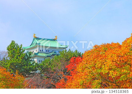 愛知県名古屋市、秋の名古屋城の風景 愛知県名古屋市、秋の名古屋城の風景 134518365