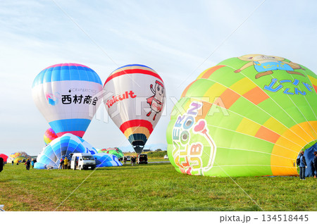 熱気球・バルーン 134518445
