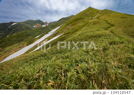 武能岳への縦走路から見る茂倉岳 134518547