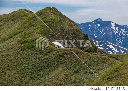 縦走路から見る谷川連峰・武能岳と七ツ小屋山 134518548