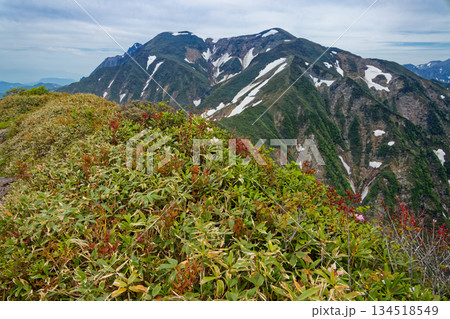 武能岳から見る初夏の谷川岳・一ノ倉岳と茂倉岳 134518549