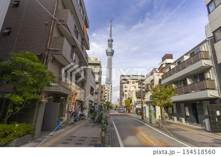 Tokyo, Japan - Nov 26,2024 : People walking in Kinshicho district with the Tokyo Skytree tower in the background in Tokyo, Japan on Nov 26,2024. 134518560