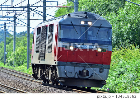 千歳線　島松－北広島　JR貨物　DF200-111（五稜郭） 134518562