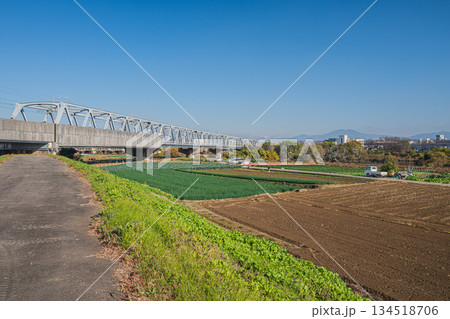 桂川堤防上からの野菜畑の眺め 京都市 桂川堤防上からの野菜畑の眺め 京都市 134518706