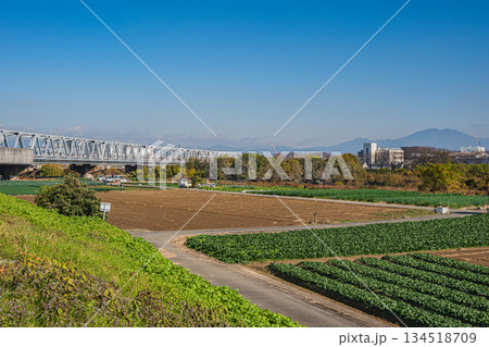 桂川堤防上からの野菜畑の眺め 京都市 桂川堤防上からの野菜畑の眺め 京都市 134518709