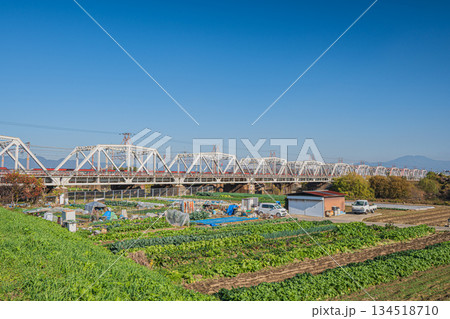 桂川に架かる東海道新幹線鉄橋と河川敷の野菜畑の眺め 京都市 桂川に架かる東海道新幹線鉄橋と河川敷の野菜畑の眺め 京都市 134518710
