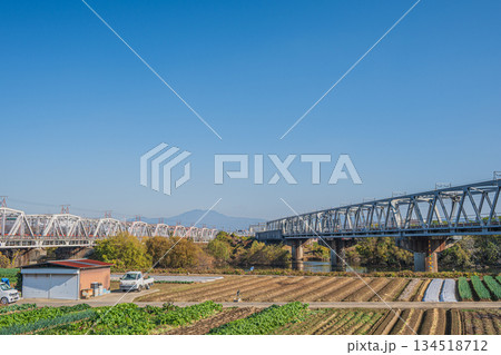 桂川に架かる東海道線鉄橋と河川敷に広がる野菜畑 京都市 桂川に架かる東海道線鉄橋と河川敷に広がる野菜畑 京都市 134518712