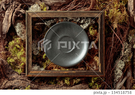 Abstract natural composition featuring lichen, moss, and dry snags. 134518758