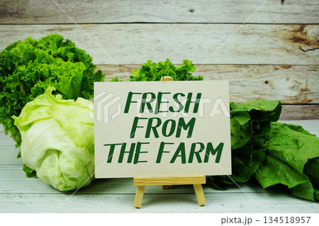 "Fresh From The Farm" message on a small easel next to a basket of fresh green leafy vegetables 134518957