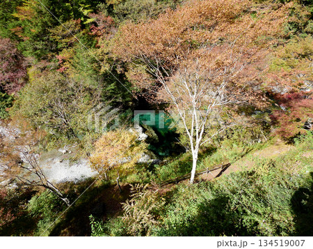 紅葉の隙間から覗いたエメラルドグリーン色した滝壺の清流 紅葉の隙間から覗いたエメラルドグリーン色した滝壺の清流 134519007