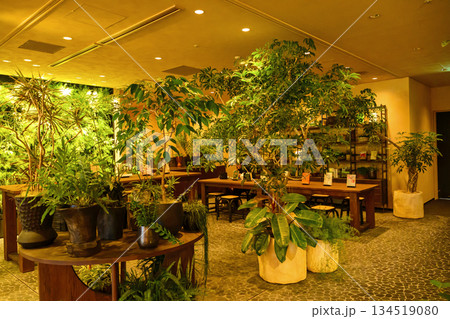 東京都港区　高輪ゲートウェイシティ 　ニュウマン高輪　28階　ルフトバウム（都心の別荘） 134519080