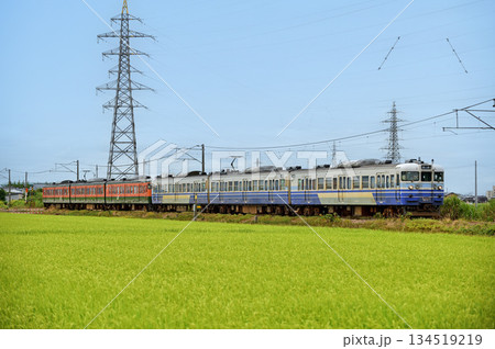 越後線　分水－粟生津　JR東日本　115系　N35編成（新潟） 134519219