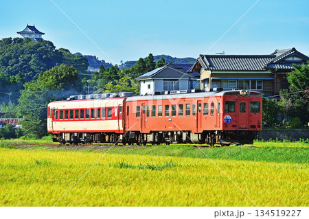 いずみ鉄道　大多喜－小谷松　キハ52-125+キハ28-2346　いよ 134519227