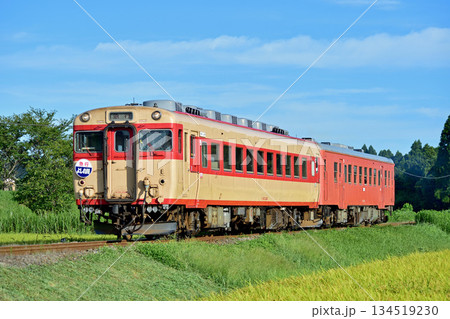 いすみ鉄道 小谷松-大多喜 キハ28-2346+キハ52-125 よしの川 いすみ鉄道 小谷松-大多喜 キハ28-2346+キハ52-125 よしの川 134519230