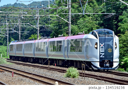 東海道本線　二宮－国府津　JR東日本　E259系　Ne011編成（鎌倉）　マリンエクスプレス踊り子 134519236