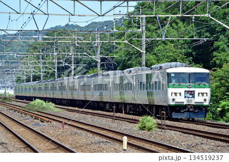 東海道本線 二宮-国府津 JR東日本 185系 A1編成(大宮) 踊り子 東海道本線 二宮-国府津 JR東日本 185系 A1編成(大宮) 踊り子 134519237