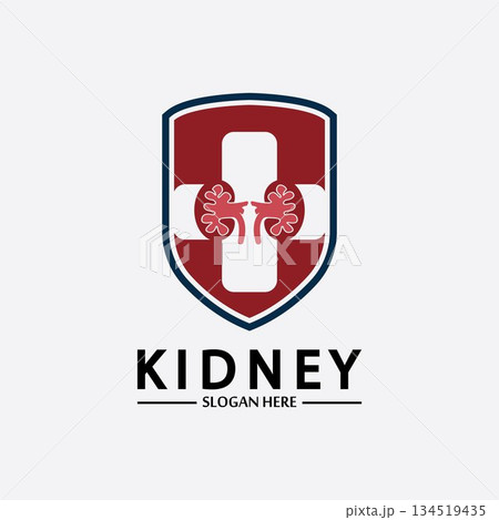 Kidney Shield Logo Template Design Vector, Emblem, Design Concept, Creative Symbol, Icon. 134519435