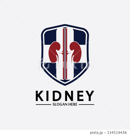 Kidney Shield Logo Template Design Vector, Emblem, Design Concept, Creative Symbol, Icon. Kidney Shield Logo Template Design Vector, Emblem, Design Concept, Creative Symbol, Icon. 134519436
