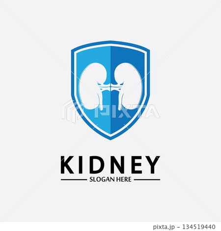 Kidney Shield Logo Template Design Vector, Emblem, Design Concept, Creative Symbol, Icon. 134519440