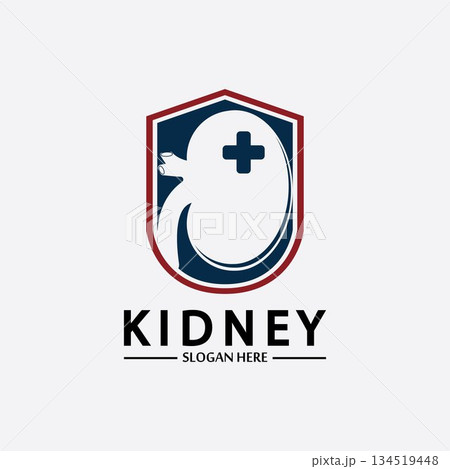 Kidney Shield Logo Template Design Vector, Emblem, Design Concept, Creative Symbol, Icon. Kidney Shield Logo Template Design Vector, Emblem, Design Concept, Creative Symbol, Icon. 134519448