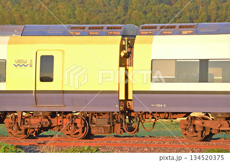 総武本線　佐倉－物井　JR東日本　255系　Be-03編成（幕張）　わかしお　さざなみ 134520375