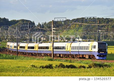 総武本線 佐倉-物井 JR東日本 255系 Be-05編成(幕張) わかしお さざなみ 総武本線 佐倉-物井 JR東日本 255系 Be-05編成(幕張) わかしお さざなみ 134520377