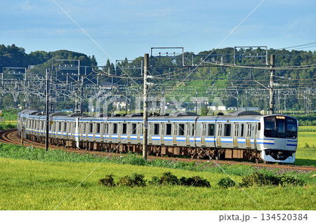 総武本線　佐倉－物井　JR東日本　E217系　Y-140編成（鎌倉） 134520384