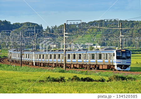 総武本線　佐倉－物井　JR東日本　E217系　Y-129編成（鎌倉） 134520385