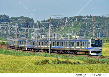 総武本線　佐倉－物井　JR東日本　E217系　Y-107編成（鎌倉） 134520386