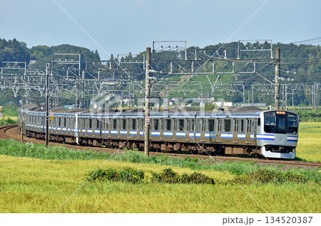 総武本線　佐倉－物井　JR東日本　E217系　Y-115編成（鎌倉） 134520387