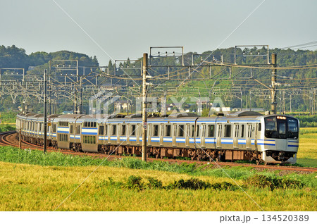 総武本線　佐倉－物井　JR東日本　E217系　Y-35編成（鎌倉） 134520389