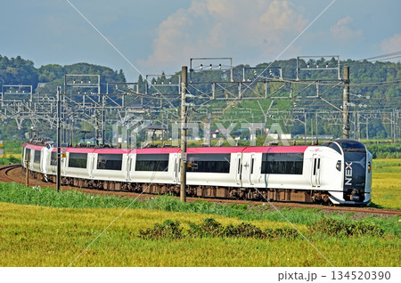 総武本線　佐倉－物井　JR東日本　E259系　Ne001編成（鎌倉）　成田エクスプレス　NEX 134520390