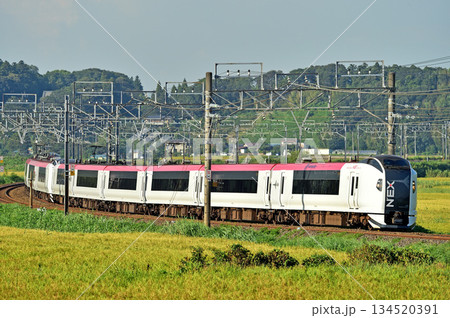 総武本線　佐倉－物井　JR東日本　E259系　Ne013編成（鎌倉）　成田エクスプレス　NEX 134520391