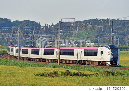 総武本線　佐倉－物井　JR東日本　E259系　Ne003編成（鎌倉）　成田エクスプレス　NEX 134520392