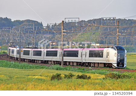 総武本線　佐倉－物井　JR東日本　E259系　Ne014編成（鎌倉）　成田エクスプレス　NEX 134520394