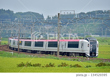 総武本線　佐倉－物井　JR東日本　E259系　Ne020編成（鎌倉）　成田エクスプレス　NEX 134520395