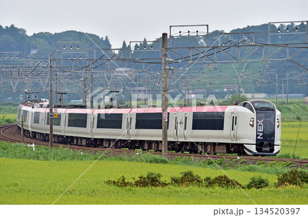 総武本線 佐倉-物井 JR東日本 E259系 Ne003編成(鎌倉) 成田エクスプレス NEX 総武本線 佐倉-物井 JR東日本 E259系 Ne003編成(鎌倉) 成田エクスプレス NEX 134520397
