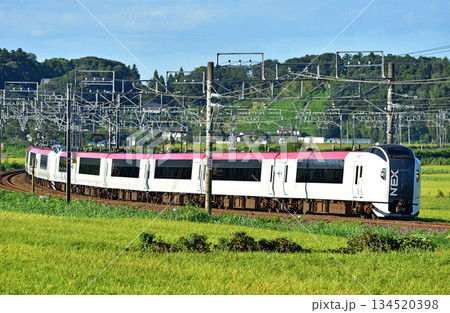 総武本線　佐倉－物井　JR東日本　E259系　Ne008編成（鎌倉）　成田エクスプレス　NEX 134520398