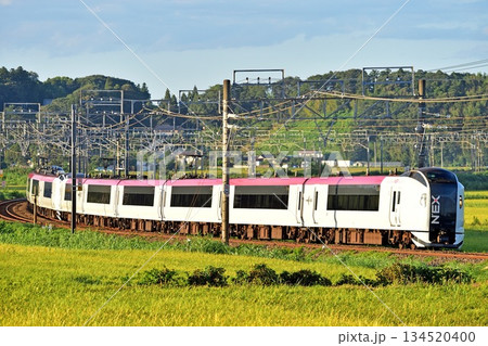 総武本線 佐倉-物井 JR東日本 E259系(鎌倉) 成田エクスプレス NEX 総武本線 佐倉-物井 JR東日本 E259系(鎌倉) 成田エクスプレス NEX 134520400
