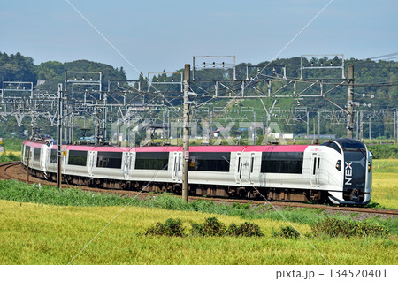 総武本線 佐倉-物井 JR東日本 E259系 Ne007編成(鎌倉) 成田エクスプレス NEX 総武本線 佐倉-物井 JR東日本 E259系 Ne007編成(鎌倉) 成田エクスプレス NEX 134520401