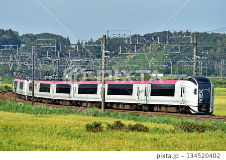 総武本線　佐倉－物井　JR東日本　E259系　Ne008編成（鎌倉）　成田エクスプレス　NEX 134520402