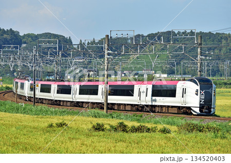 総武本線　佐倉－物井　JR東日本　E259系　Ne002編成（鎌倉）　成田エクスプレス　NEX 134520403